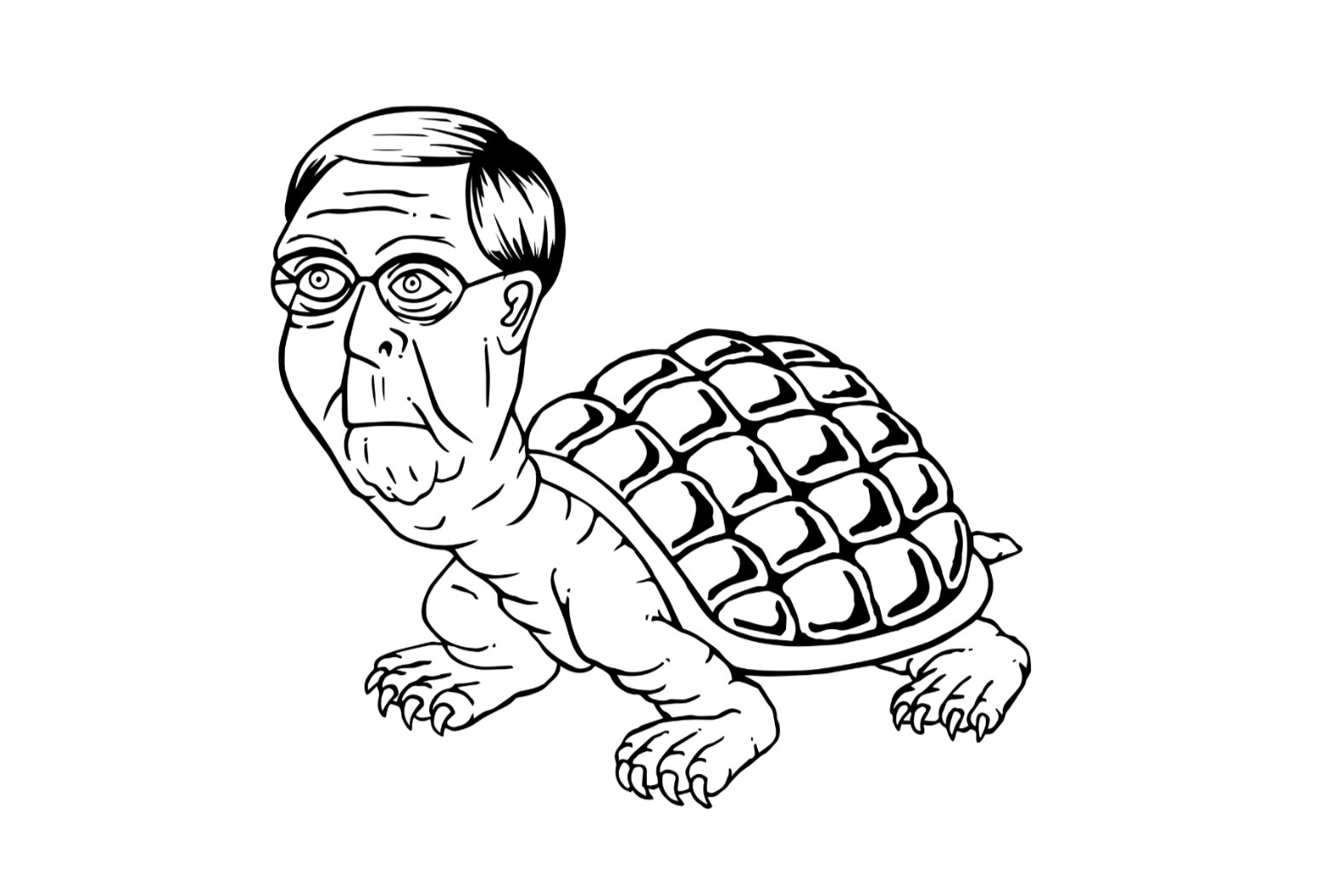 Fear The Turtle